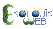 web tasarm ve programlama ekolojik web